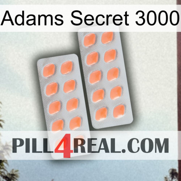 Adams Secret 3000 27.jpg